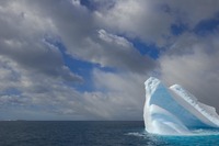 Ice 2