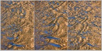 Polyptychs