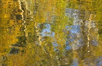 Water 1