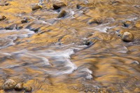 Water 2