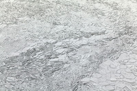 © Yva Momatiuk and John Eastcott - All Rights Reserved.