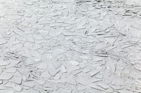 © Yva Momatiuk and John Eastcott - All Rights Reserved.