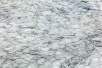 © Yva Momatiuk and John Eastcott - All Rights Reserved.