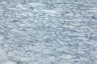 © Yva Momatiuk and John Eastcott - All Rights Reserved.