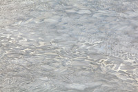 © Yva Momatiuk and John Eastcott - All Rights Reserved.