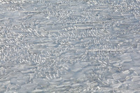 © Yva Momatiuk and John Eastcott - All Rights Reserved.