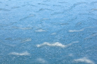 © Yva Momatiuk and John Eastcott - All Rights Reserved.