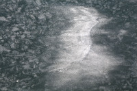 © Yva Momatiuk and John Eastcott - All Rights Reserved.