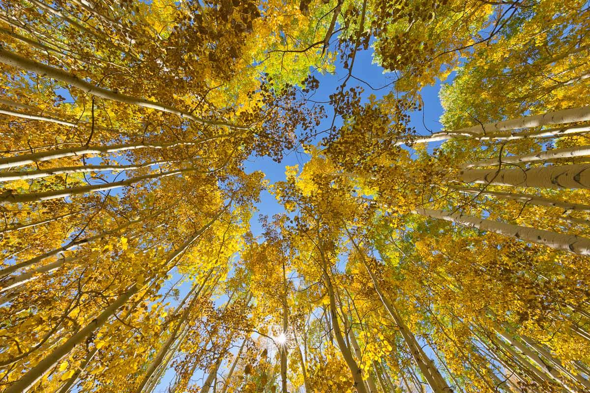 20151003©YMJE-J-0972.jpg