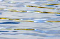 © Yva Momatiuk and John Eastcott - All Rights Reserved.