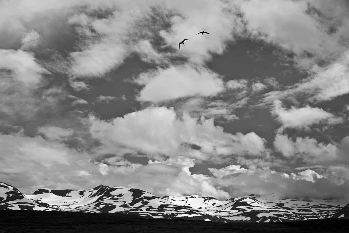 20140715©YMJE-J-4519 BW.jpg