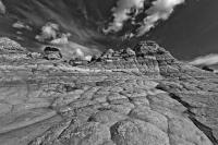 © Yva Momatiuk and John Eastcott - All Rights Reserved.