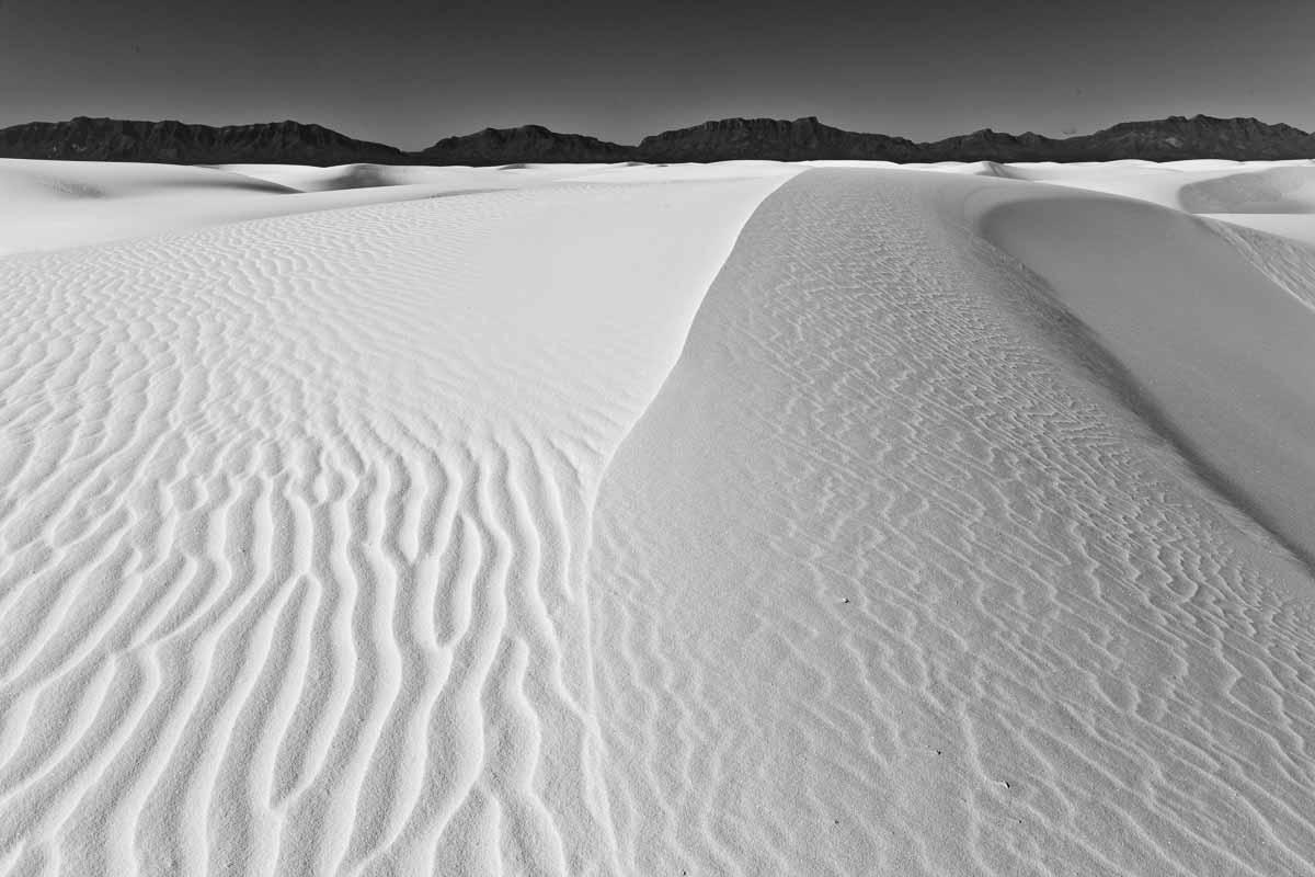 20121111©YMJE-G-6469BW MP.jpg