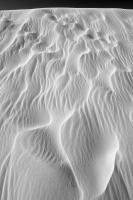 © Yva Momatiuk and John Eastcott - All Rights Reserved.