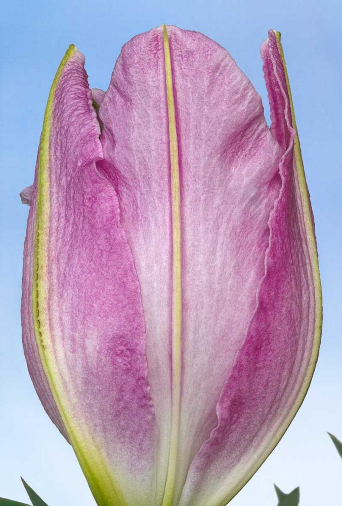 20180415©YMJE-N-6589(C) wkg.jpg